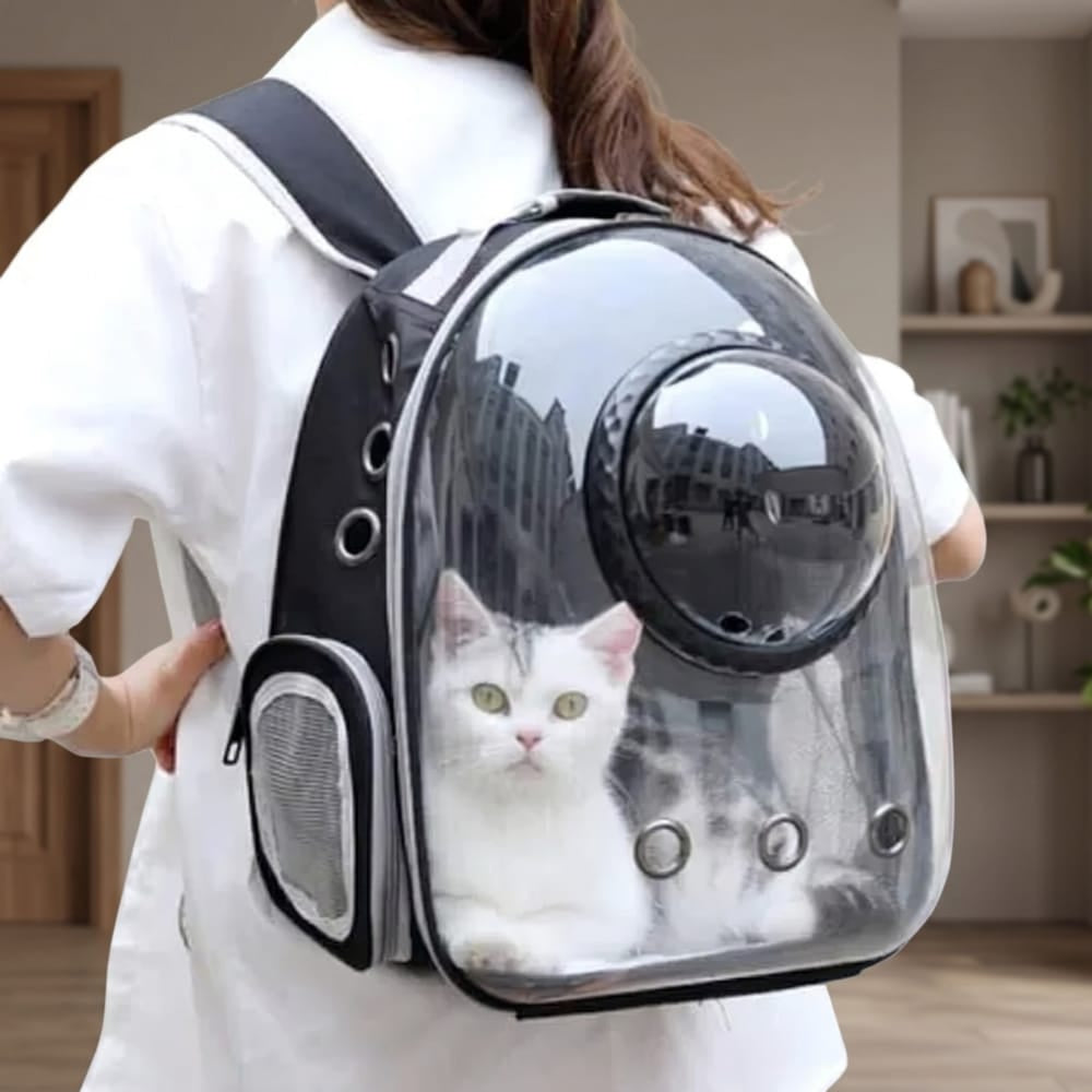 Chat Confort Sac à Dos Bulle Pour Chat Sac à Dos Bulle Pour Chat - Vue Panoramique Pour Un Chat Rassuré