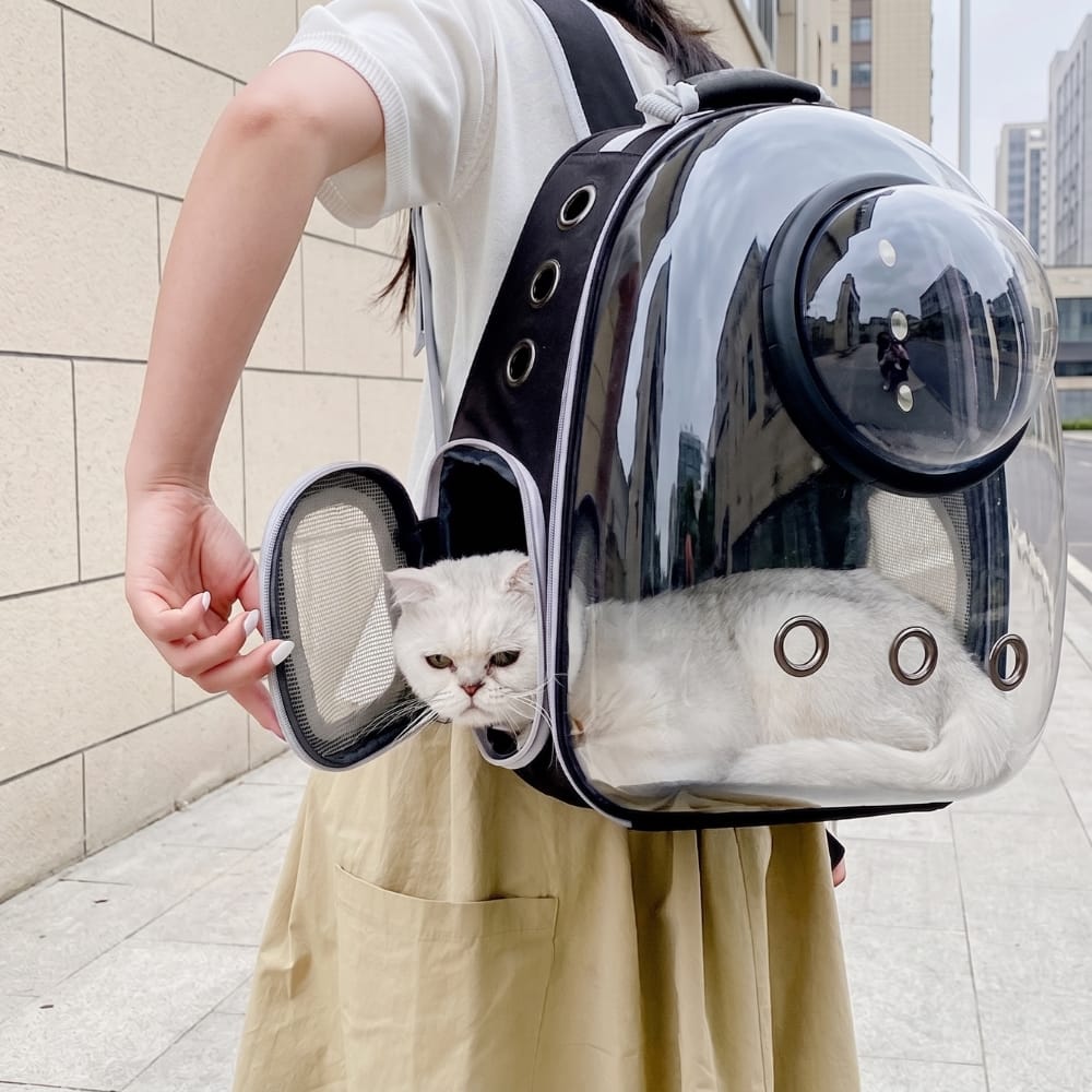 Chat Confort Sac à Dos Bulle Pour Chat Sac à Dos Bulle Pour Chat - Vue Panoramique Pour Un Chat Rassuré