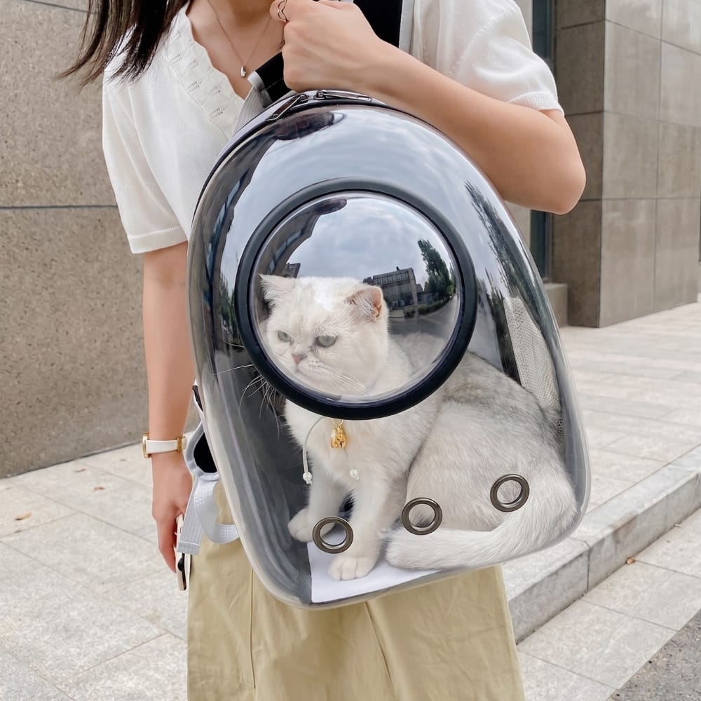 Chat Confort Sac à Dos Bulle Pour Chat Sac à Dos Bulle Pour Chat - Vue Panoramique Pour Un Chat Rassuré