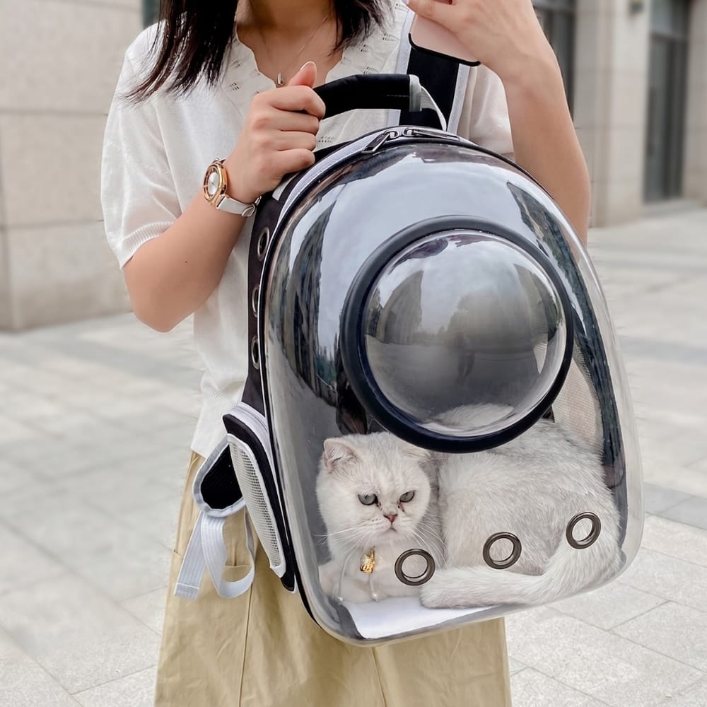 Chat Confort Sac à Dos Bulle Pour Chat Sac à Dos Bulle Pour Chat - Vue Panoramique Pour Un Chat Rassuré