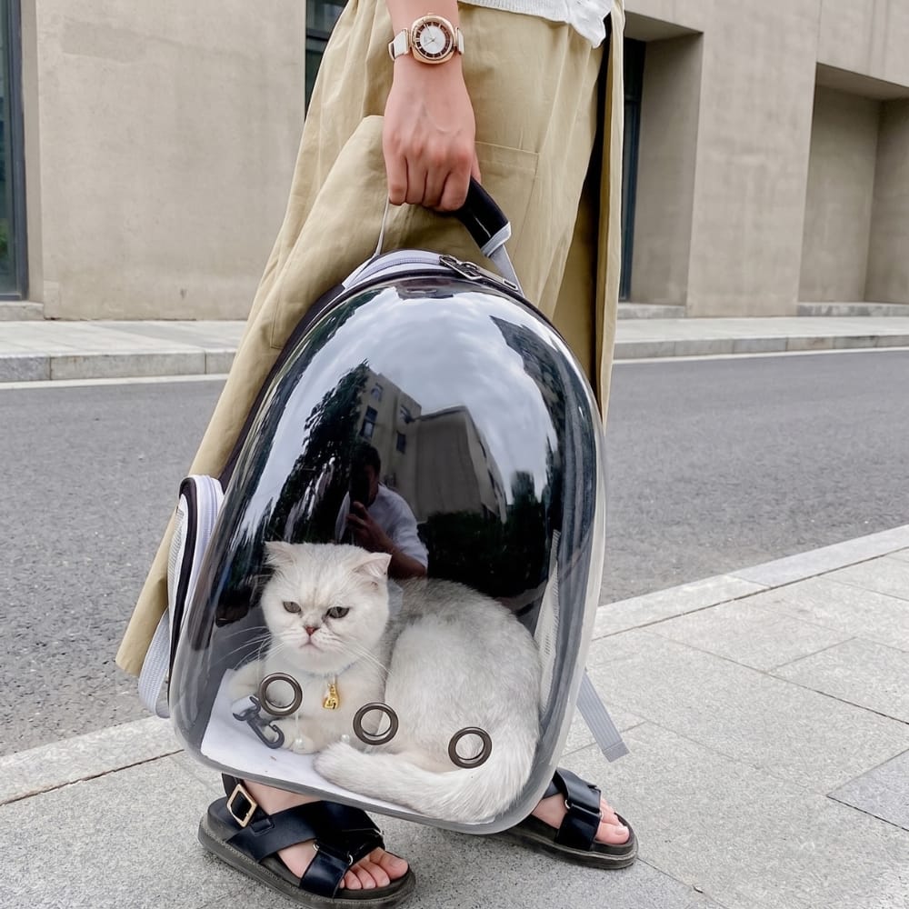 Chat Confort Sac à Dos Bulle Pour Chat Sac à Dos Bulle Pour Chat - Vue Panoramique Pour Un Chat Rassuré