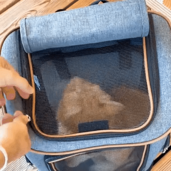 Chat Confort Sac à Dos Pour Chat Randonnée Sac à Dos Chat Randonnée - Conquiers les sentiers !