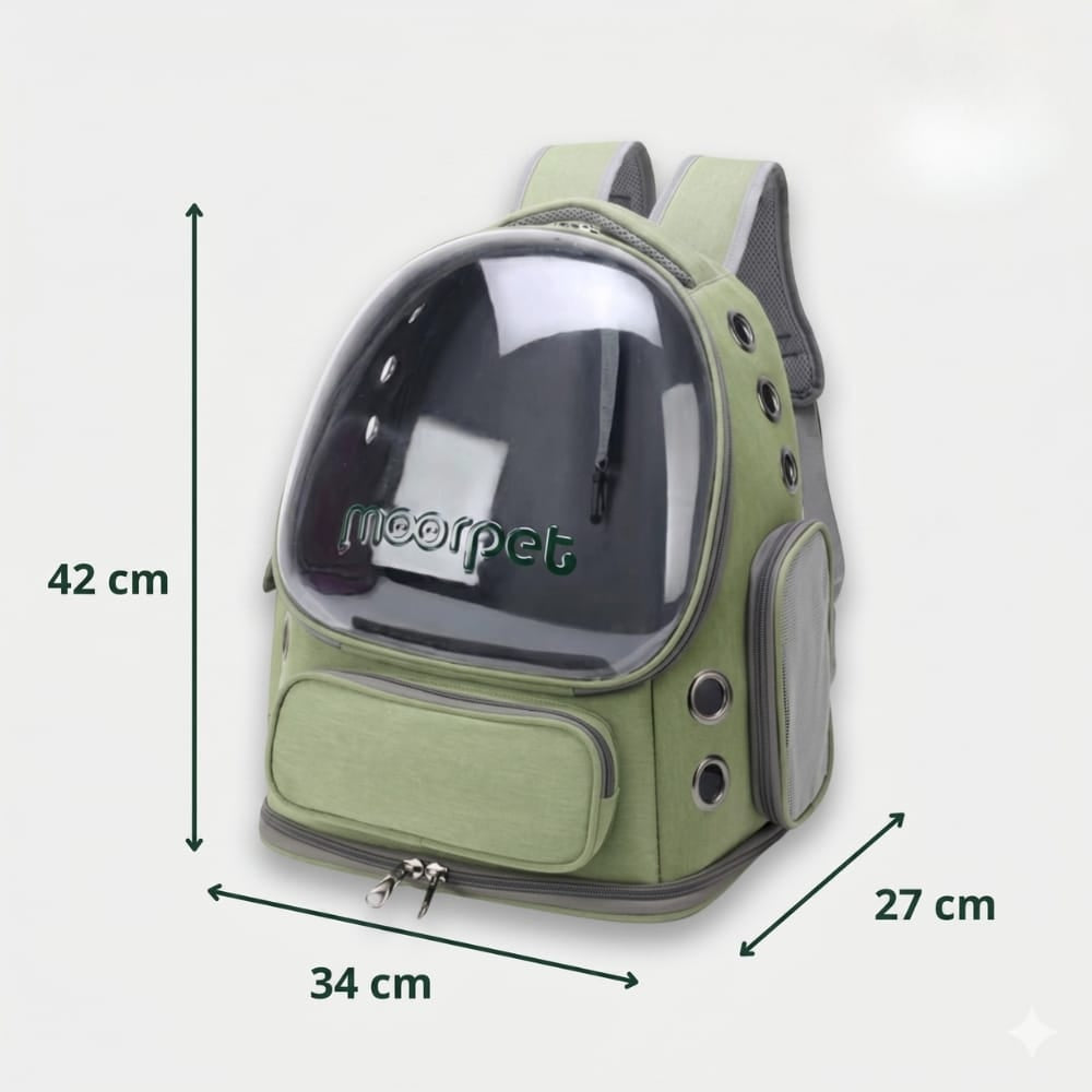 Chat Confort Sac à Dos Chat Transparent Sac à Dos Chat Transparent - Adoptez le look félin!