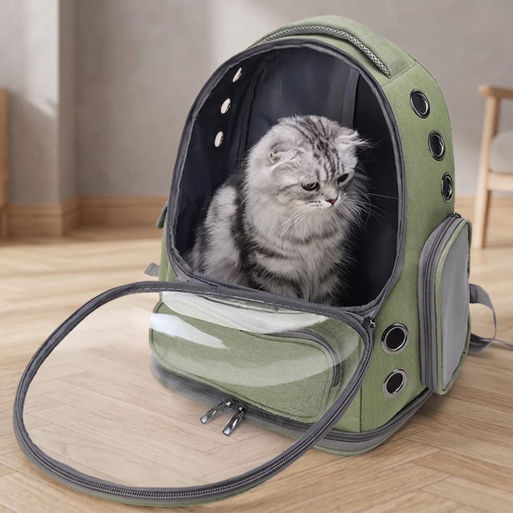 Chat Confort Sac à Dos Chat Transparent Sac à Dos Chat Transparent - Adoptez le look félin!