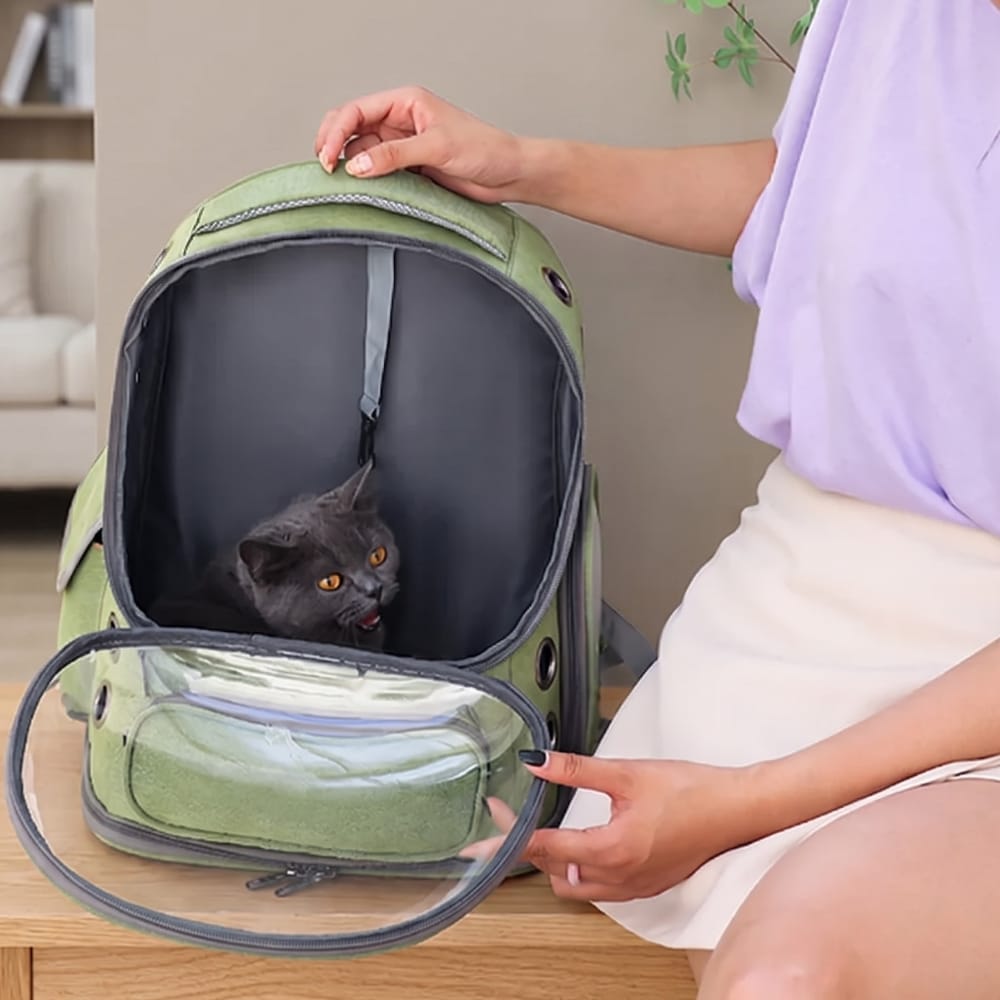 Chat Confort Sac à Dos Chat Transparent Sac à Dos Chat Transparent - Adoptez le look félin!