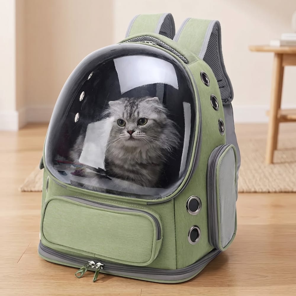 Chat Confort Sac à Dos Chat Transparent Sac à Dos Chat Transparent - Adoptez le look félin!