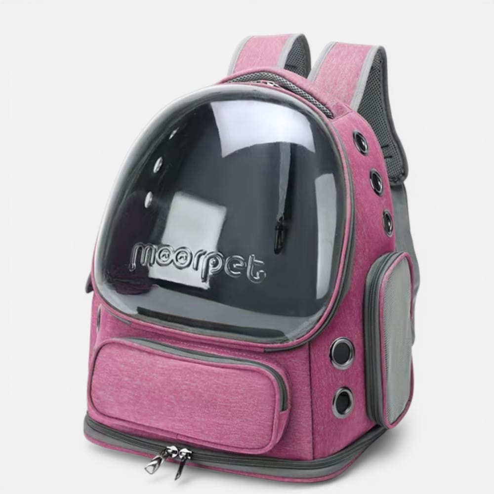 Chat Confort Sac à Dos Chat Transparent Sac à Dos Chat Transparent - Adoptez le look félin!