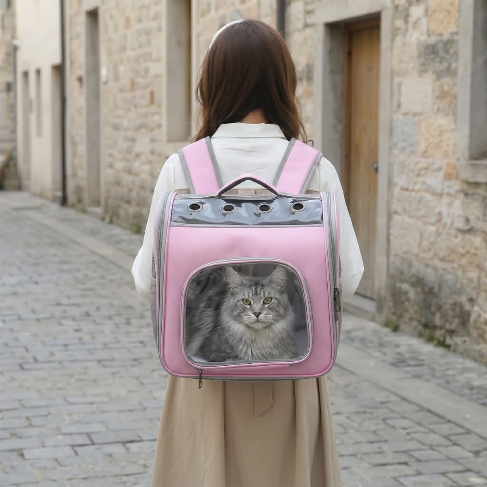 Chat Confort Sac à Dos Grand Chat Sac à Dos Grand Chat - Prêt à dominer Image