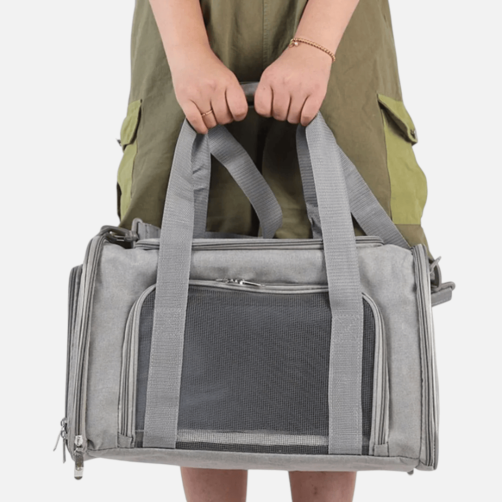 Chat Confort Sac De Transport Avion Chat Sac De Transport Avion Chat Emportez-le partout en vol