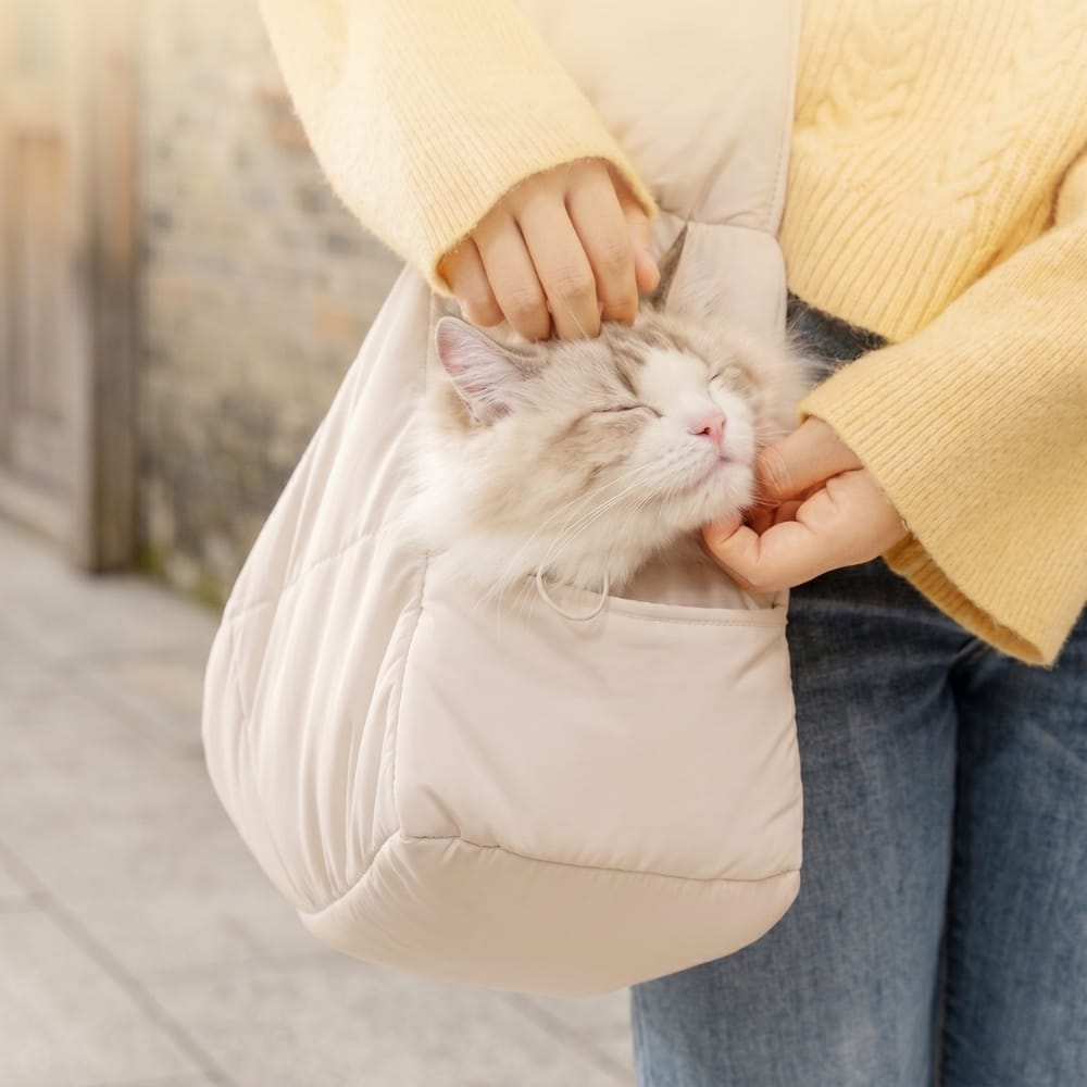 Chat Confort Sac De Transport Chat Bandoulière Sac De Transport Chat Bandoulière Pratique et sécurisé