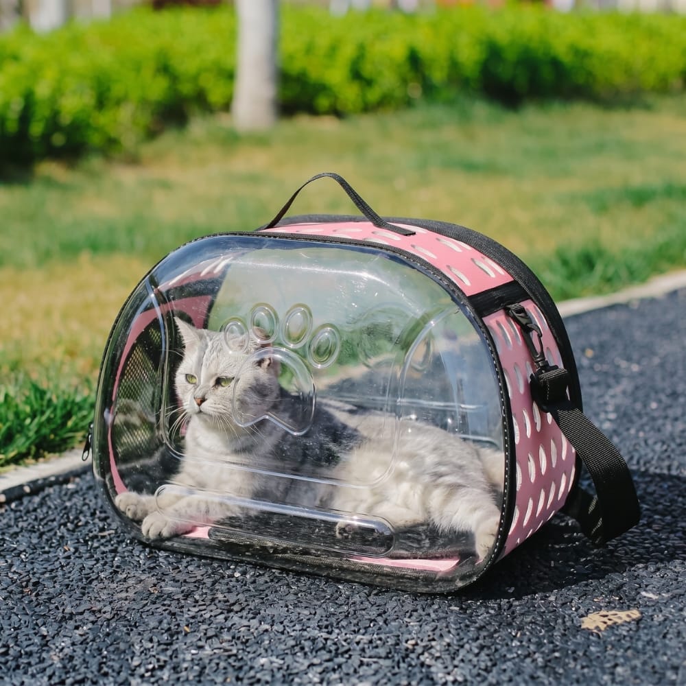 Chat Confort Sac De Transport Chat Transparent Sac De Transport Chat Transparent Prêt à partir