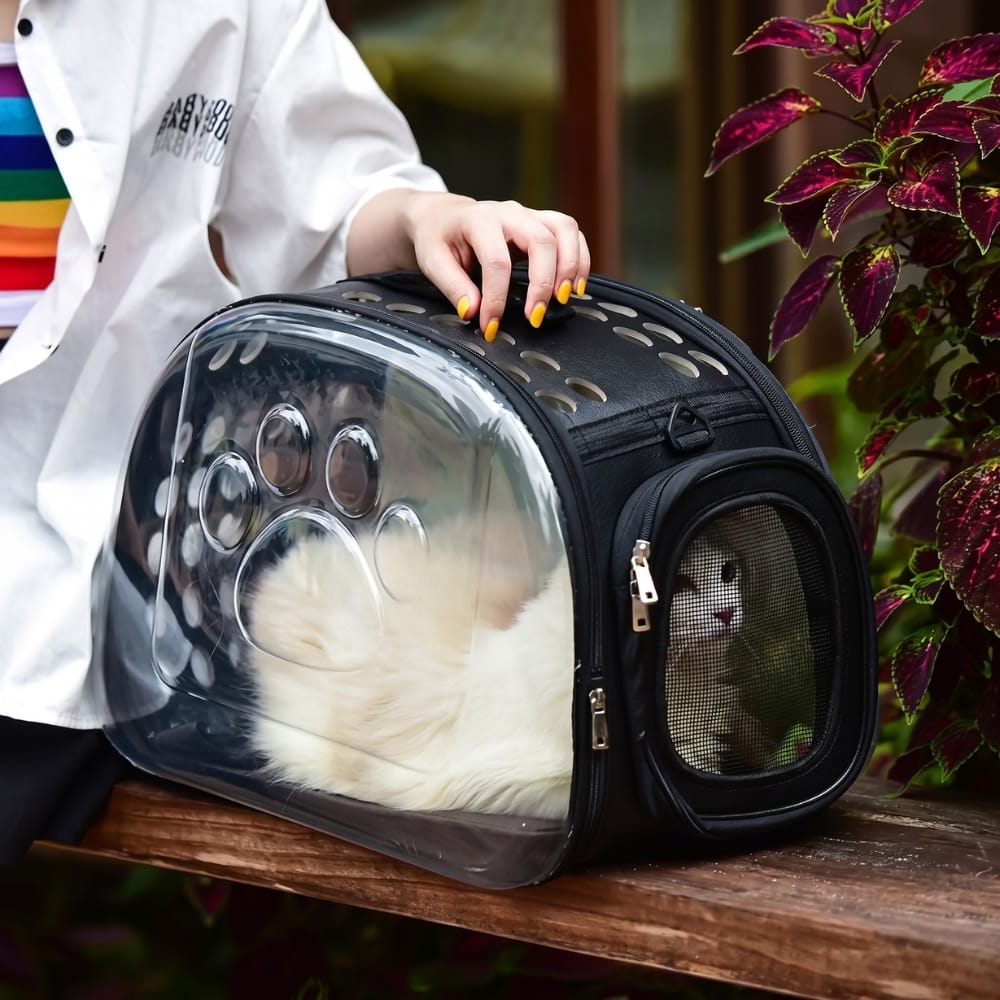 Chat Confort Sac De Transport Chat Transparent Sac De Transport Chat Transparent Prêt à partir Image