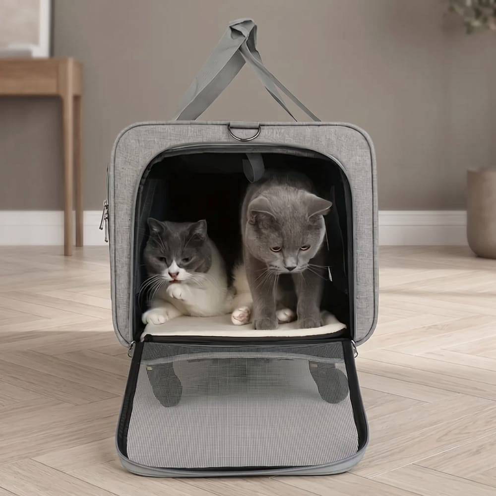 Chat Confort Sac De Transport Pour Chat à Roulette Pour 2 Chat Sac De Transport Pour Chat à Roulette Pour 2 Chat Prêt!