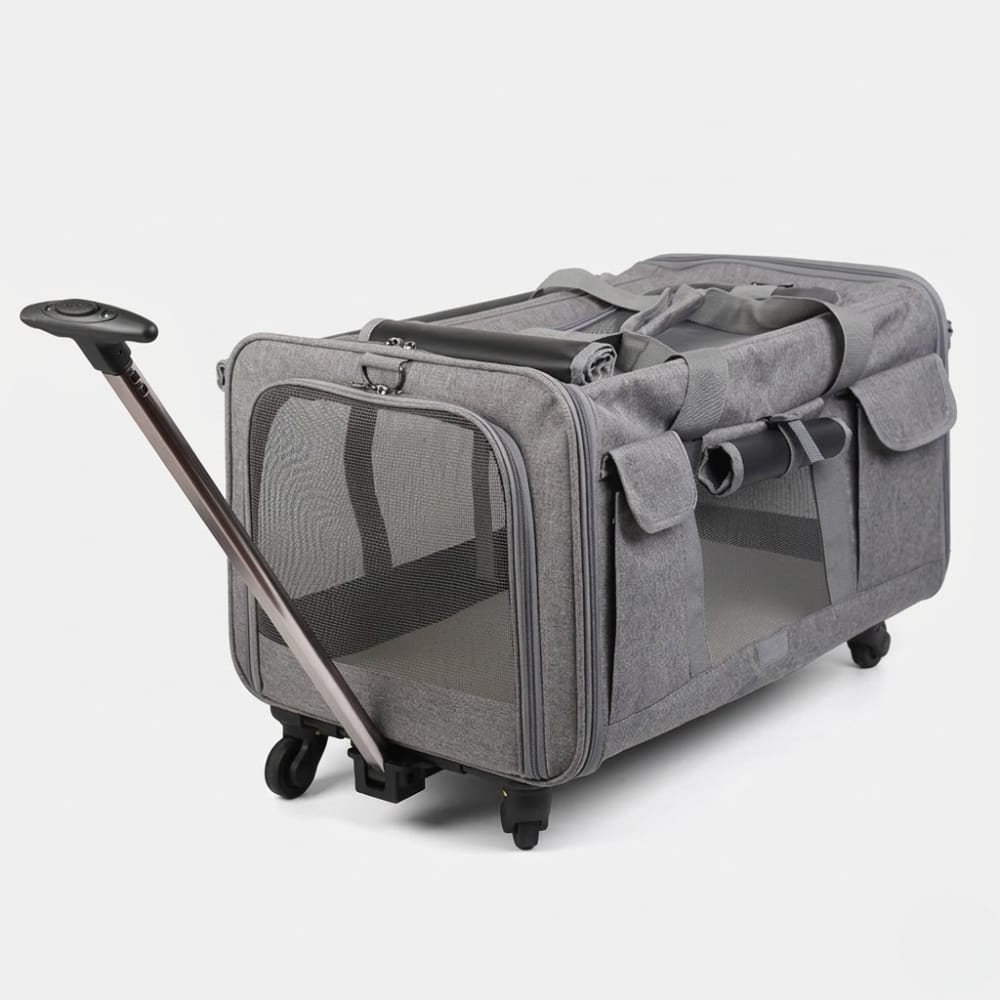 Chat Confort Sac De Transport Pour Chat à Roulette Pour 2 Chat Sac De Transport Pour Chat à Roulette Pour 2 Chat Prêt!