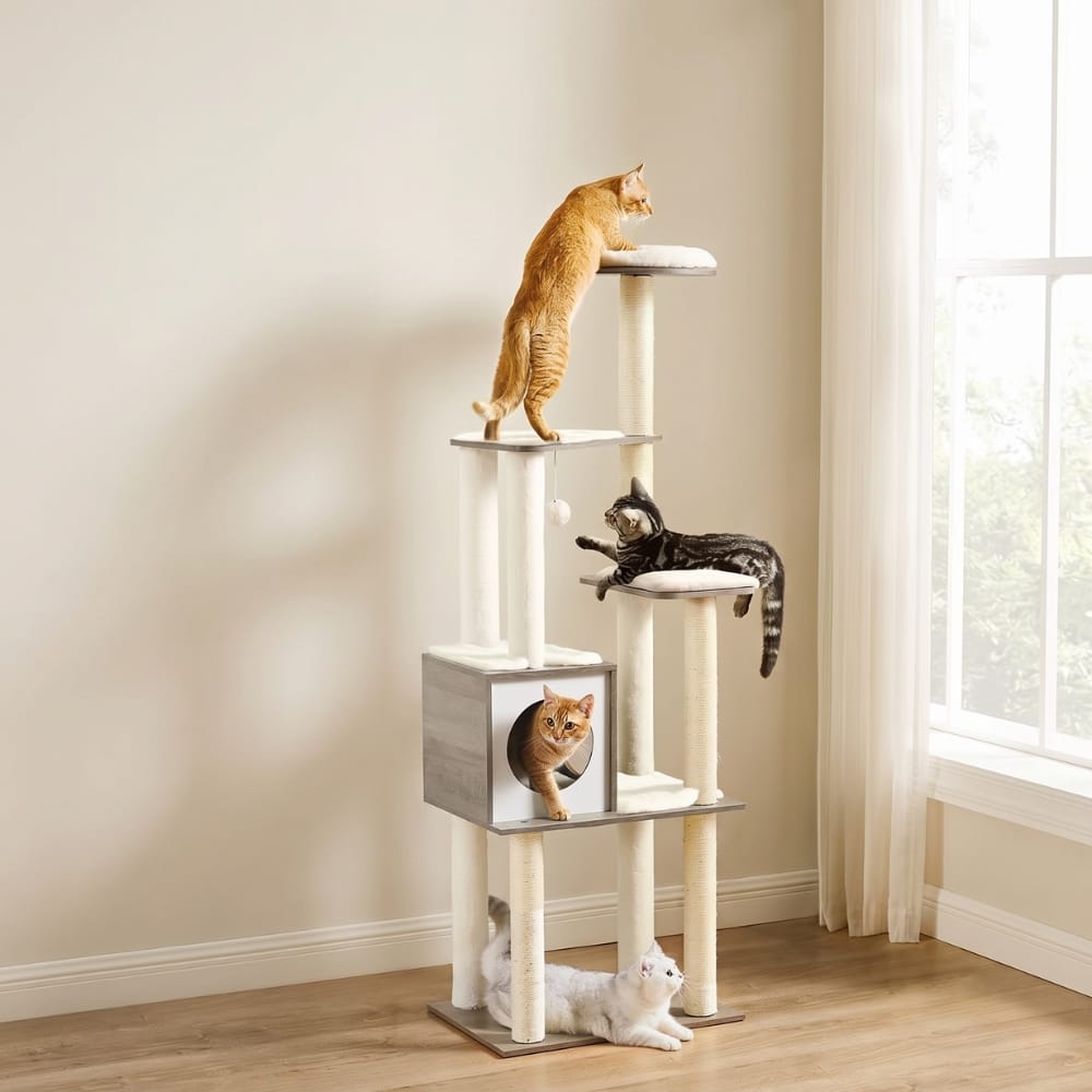 Chat Confort Tour à Chat Moderne 165 cm Tour à Chat Moderne 165 cm Confort chat, design premium