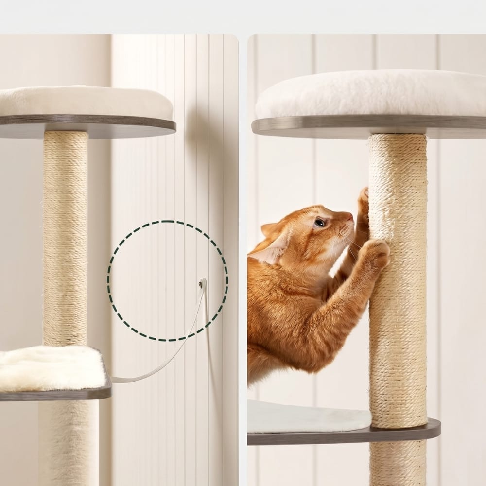 Chat Confort Tour à Chat Moderne 165 cm Tour à Chat Moderne 165 cm Confort chat, design premium